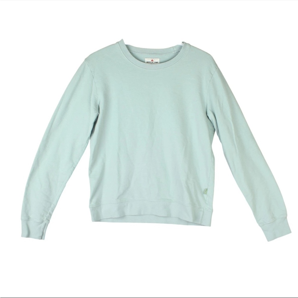 American Giant Sweatshirt Sz M Light Green  Crewneck Raglan Heavyweight Made USA